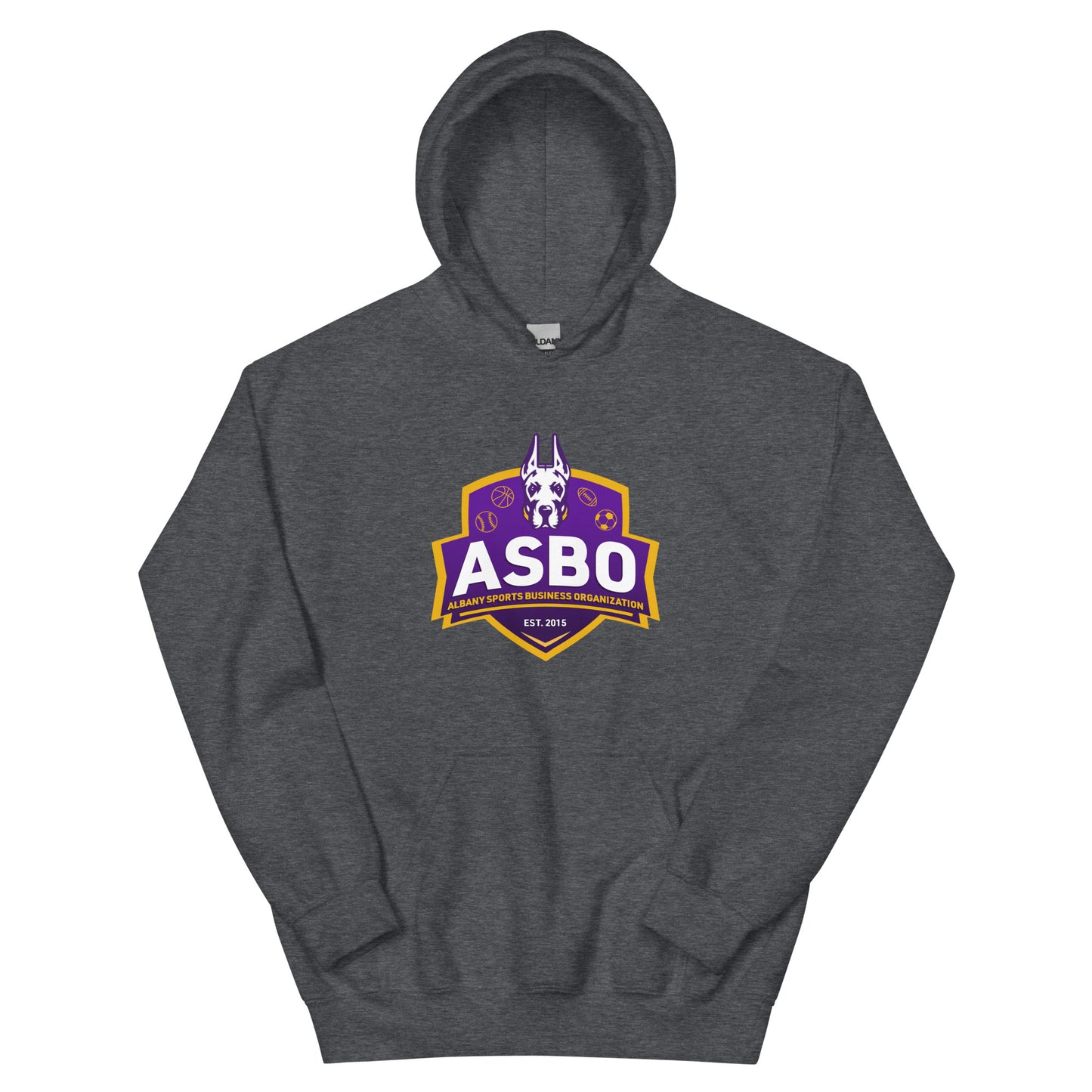 Albany Sports Business Organization Hoodie