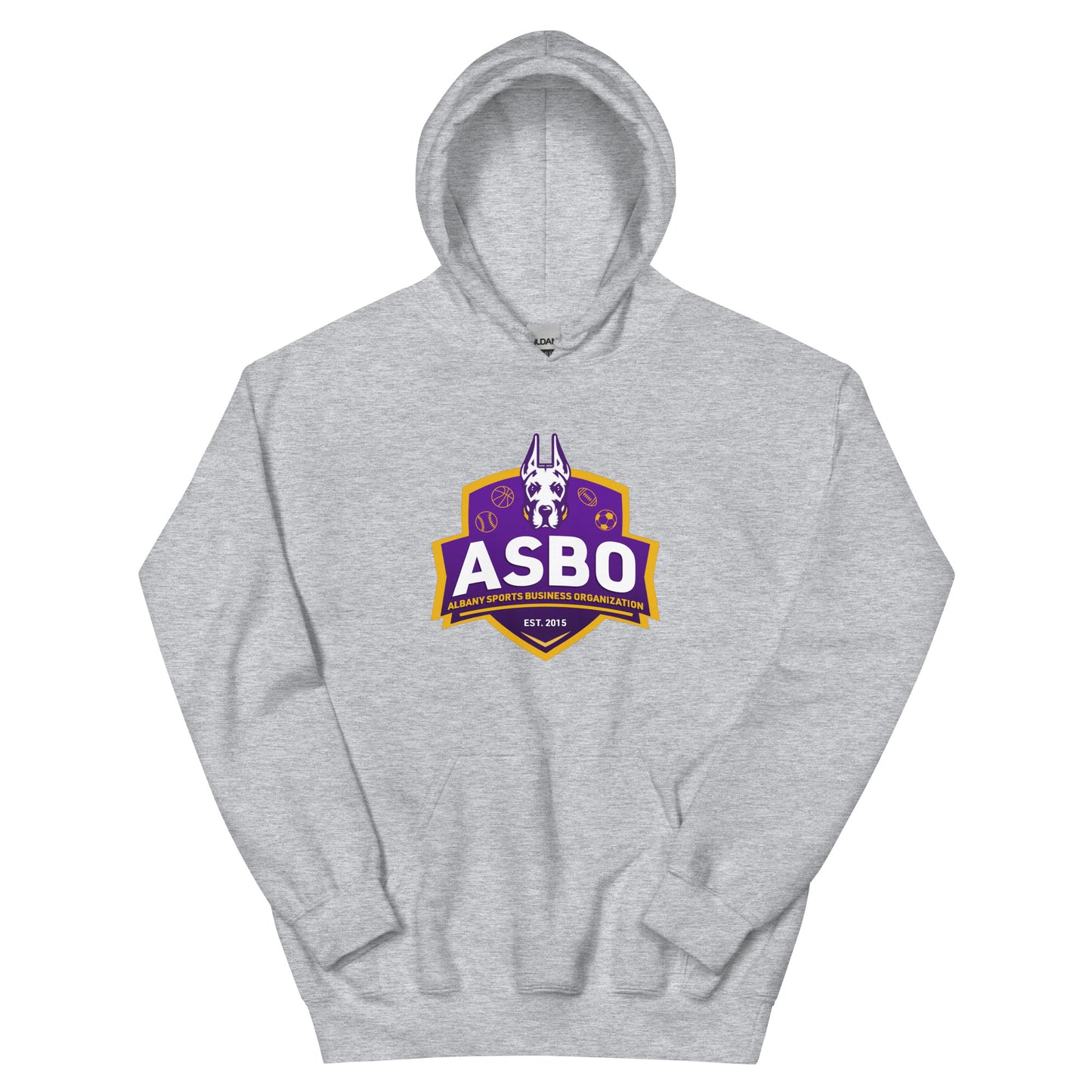 Albany Sports Business Organization Hoodie