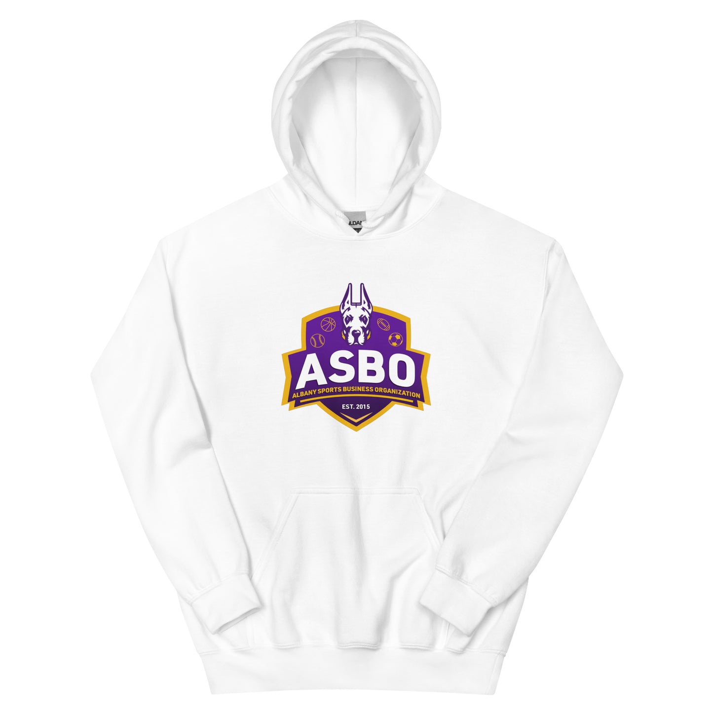 Albany Sports Business Organization Hoodie